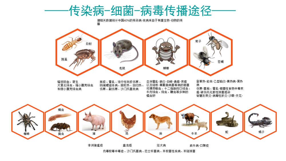 除虫灭鼠-深圳市瑞达康生物科技有限公司 除虫灭鼠-深圳市瑞达康生物科技有限公司